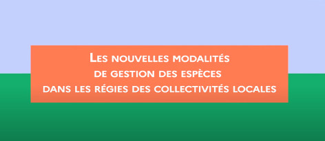 vignettebase
